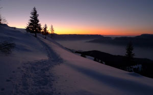 winter landscape, mountain, forest, winter, snow, nature, landscape