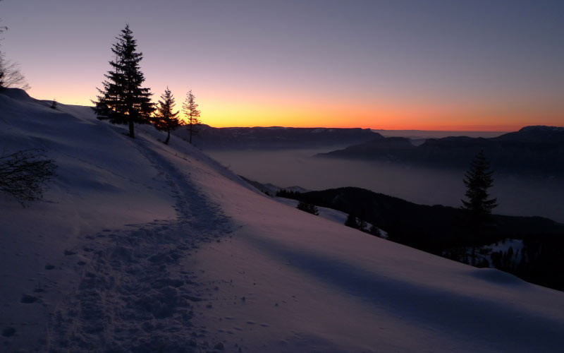 winter landscape, mountain, forest, winter, snow, nature, landscape