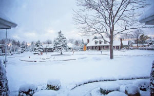 snow-covered, winter, snow, cold, season, street, house, town