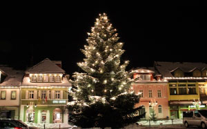 christmas tree, christmas, night, winter, snow landscape, snow, town, xmas, holidays