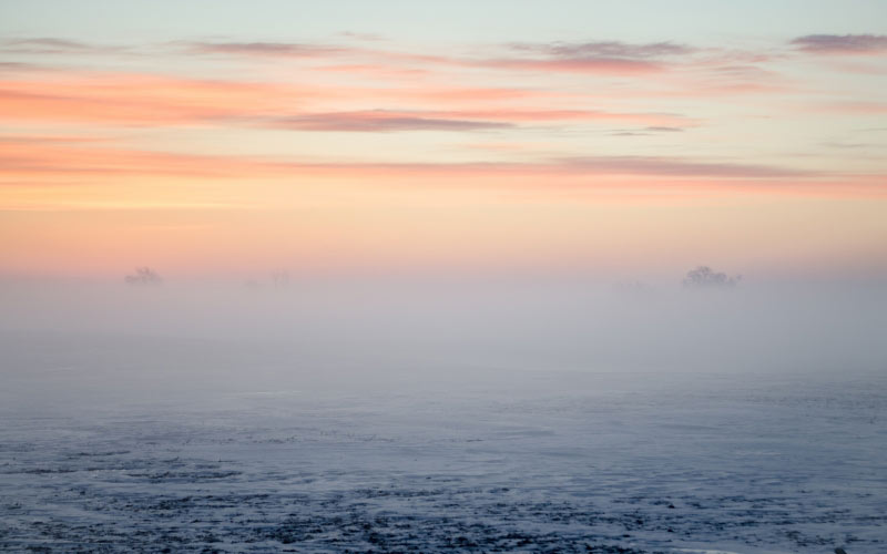 winter, fog, snow, landscape, nature, field, sunset