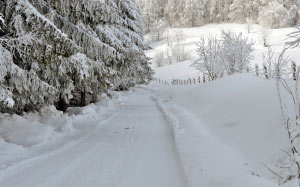 winter, scene, mountain, wonderland, forest, cold, snow, holiday, xmas, background, trees, snowfall, snowy, cloud, fir, season, woods, sky, frost, beautiful, nature, landscape, 
