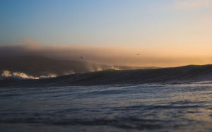 water, sea, ocean, wave, sky, seagulls, birds
