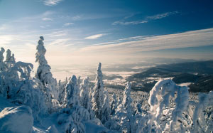 winter, landscape, snow, mountain, forest