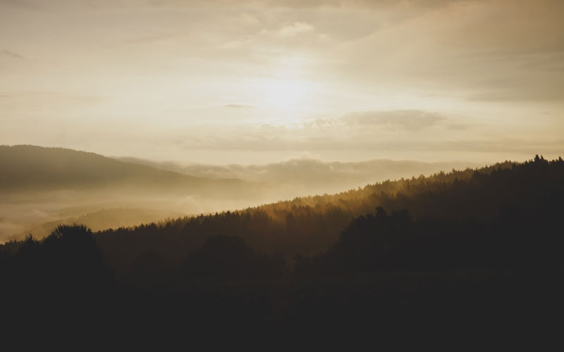 mountain, forest, sun, clouds, sky, landscape, nature