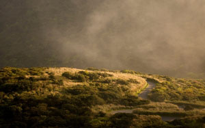 taipei city, taiwan, landscape, nature, road