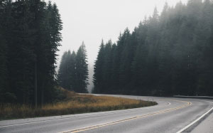 road, forest, nature, landscape, clouds, cloudy
