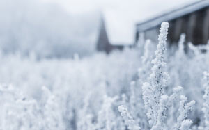 tambov, russia, winter, snow, blur, snow