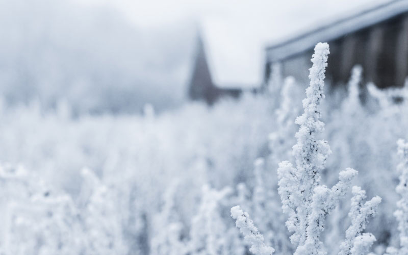 tambov, russia, winter, snow, blur, snow