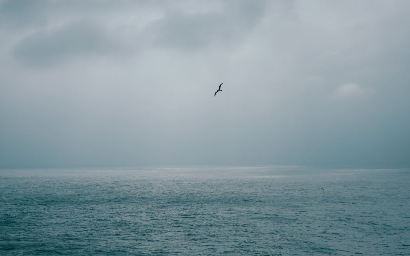 gibraltar, sea, ocean, water, clouds, sky, seagull,