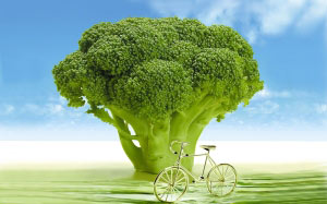 vegetables, broccoli, arboretum, spring, bicycle