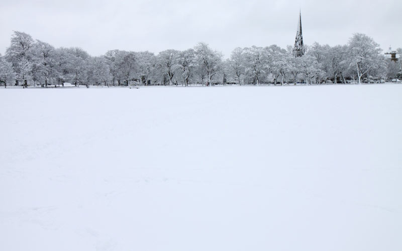 january, landscape, nature, park, snow, winter