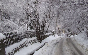 winter, nature, january, snowy, road, bridge