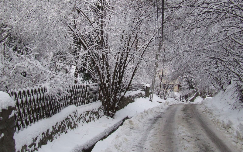 winter, nature, january, snowy, road, bridge
