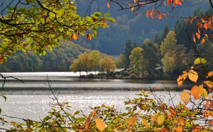 lake, waters, boat house, leaves, autumn, branches, october, fall, landscape, nature, colorful