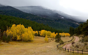 fall, yellow, leaves, mountains, autumn, nature, leaf, foliage, forest, natural, tree, october, landscape