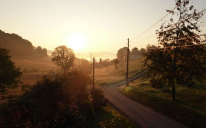 autumn, sunrise, colours, october, nature, trees