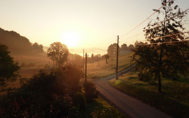 autumn, sunrise, colours, october, nature, trees