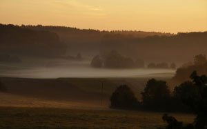 november, sunrise, fog, mood, autumn, trees, nature, landscape