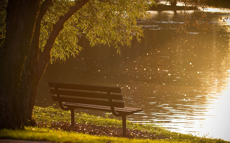 park, bench, river, water, summer, lake, trees, grass, nature, sun rays
