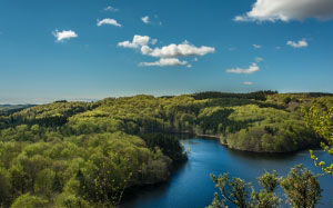 river, lake, water, trees, forest, woods, sunshine, summer, blue sky, nature, landscape