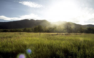 high uintas wilderness, countryside, dawn, field, forest, grass, landscape, meadow, morning, nature, summer, sunrise