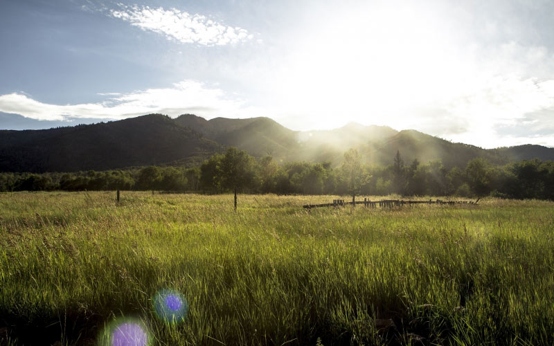 high uintas wilderness, countryside, dawn, field, forest, grass, landscape, meadow, morning, nature, summer, sunrise