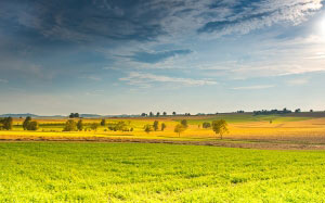 landscape, spring, field, sunbeam, clouds, trees, meadow, summer, nature
