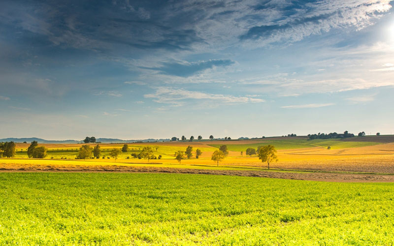 landscape, spring, field, sunbeam, clouds, trees, meadow, summer, nature