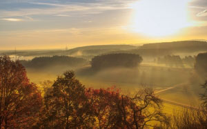 sunrise, landscape, nature, trees, woods, light, clouds, meadow, fog