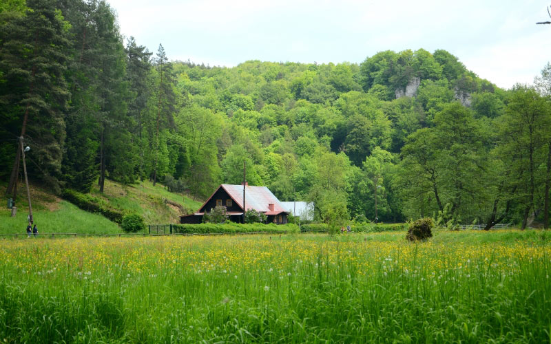 cottage, forest, meadow, poland, valley, shrubbery, green, trees, village, woods