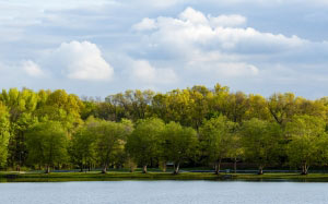 spring, nature, landscape, park, water, lake, trees, river