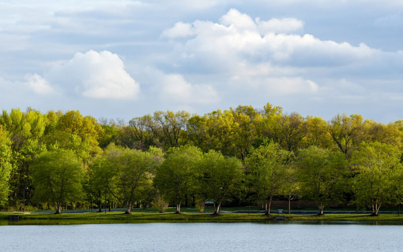 spring, nature, landscape, park, water, lake, trees, river