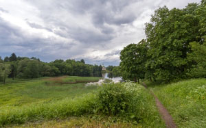 saint petersburg, summer, park, pond, bushes, trees, nature