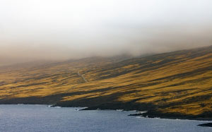coast, mountain, road, landscape, fog