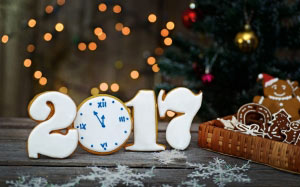 xmas, holidays, christmas, 2017, biscuits, cookie, new year