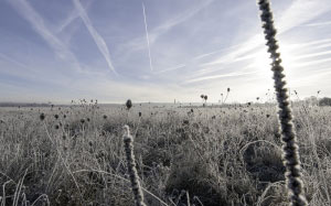 sun, frost, landscape, sky, clouds, nature, winter, december, cold
