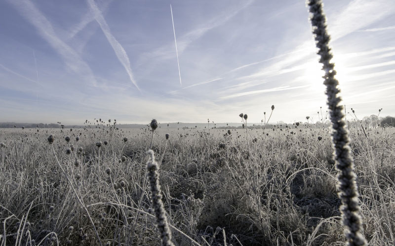 sun, frost, landscape, sky, clouds, nature, winter, december, cold
