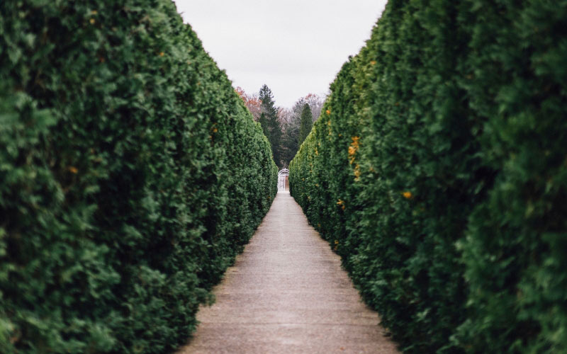 Allerton Park, Retreat Center, Monticello, autumn, path, bush