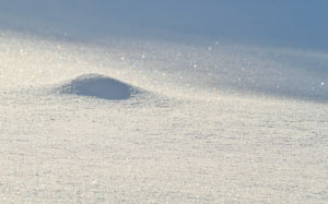 snow, sparkle, winter, cold, nature, sunlight, frosty, textures