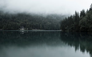 autumn, dawn, fall, fog, forest, lake, landscape, mist, morning, nature, nobody, outdoors, pond, reflection, river, forest, water, woodland