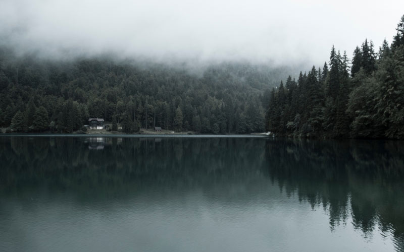 autumn, dawn, fall, fog, forest, lake, landscape, mist, morning, nature, nobody, outdoors, pond, reflection, river, forest, water, woodland