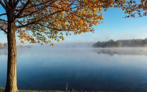 autumn, tree, daytime, fall, forest, idyllic, lake, landscape, leaves, morning, nature, nobody, outdoors, reflection, scenic, sky, water