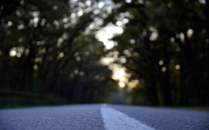 blur, morning, nature, dark, outdoors, road, trees, woods, forest