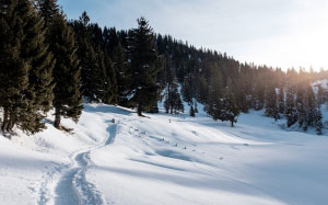 cold, hill, landscape, mountain, nature, outdoors, scenic, snow, trees, winter, woods