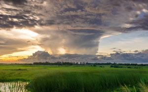 nature, sky, water, clouds, summer, grass, landscape, spring, field, sunset, evening, cloudy