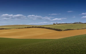 country, field, spring, nature, sky, landscape, seasons