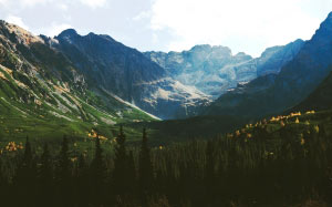 forest, landscape, mountains, nature, rocks, spring, trees, valley, woods