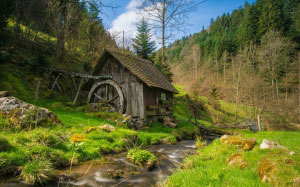 mill, water, forest, river, torrent, nature, creek, woods