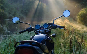 morning, forest, nature, motorbike, bike